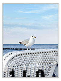 Poster Seagull