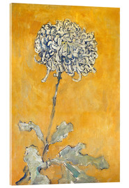 Acrylic print  chrysanthemum - Piet Mondriaan