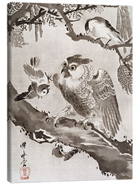 Canvas print  Owl Mocked by Small Birds - Kawanabe Kyosai