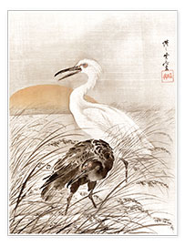 Poster  Cranes in Marsh - Kawanabe Kyosai