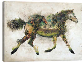 Canvas print  Surreal Horse Landscape - Barrett Biggers