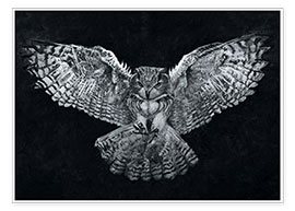 Poster  Owl 1 - Christian Klute