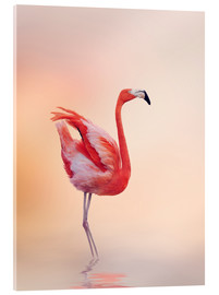 Acrylic print  Flamingo Feeling