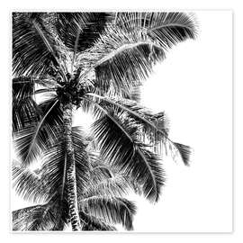 Poster High palms on a tropical beach