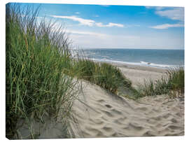 Canvas print  Summery dune landscape in Holland - Susanne Herppich