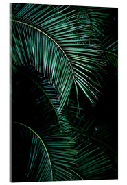 Acrylic print  Palm leaves 9 - Mareike Böhmer