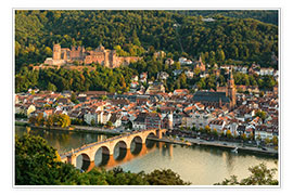 Poster  View of the Old Town of Heidelberg from the Philosophenweg - Michael Valjak