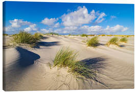 Canvas print  Landscape with dunes on the island Amrum - Rico Ködder