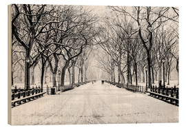 Wood print  Central Park Snowstorm (Monochrome) - Sascha Kilmer