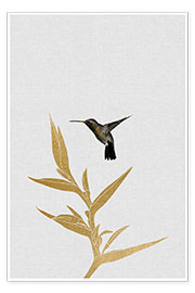 Poster Hummingbird & flower II