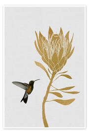 Poster Hummingbird & flower I