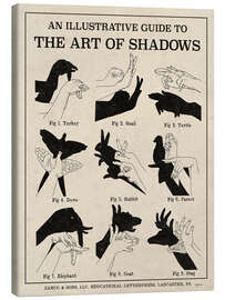 Canvas print  The Art of Shadows - Mary Urban