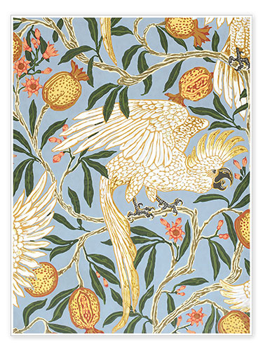 Poster Cockatoo and Pomegranate