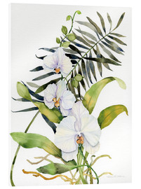Acrylic print  Botanical Phalaenopsis - Kathleen Parr McKenna