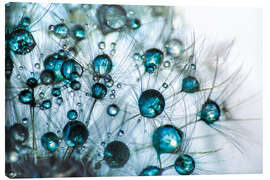 Canvas print  Dandelion Drop Gloss in Blue Turquoise - Julia Delgado