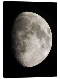 Canvas print  Moon (Telescopic View) - Ulrich Beinert