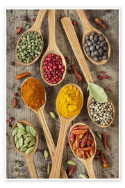 Poster Colorful spices in wooden spoons