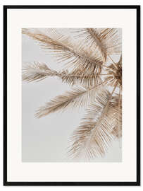 Framed art print  Golden Palm VII - Magda Izzard