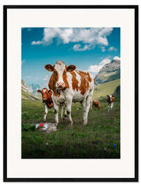 Framed art print  Portrait of a herd of cows in the Swiss Alps - Marcel Gross